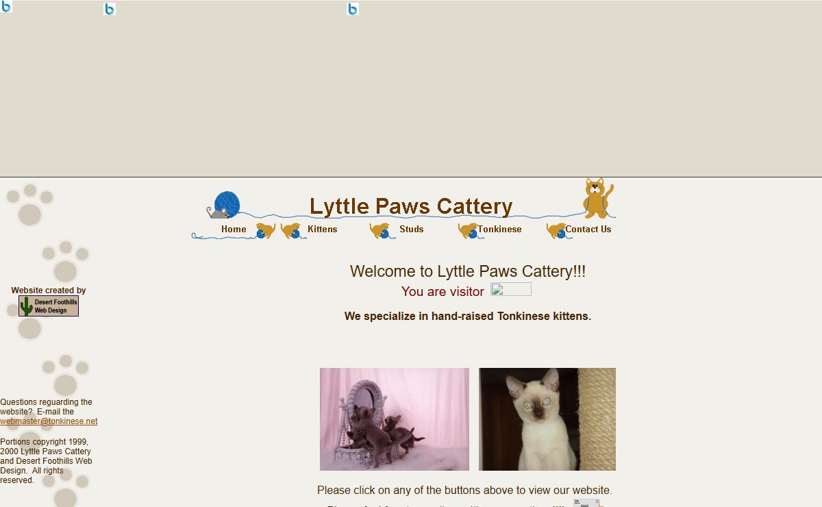 Lyttle Paws Cattery Homepage - Tonkinese Kittens, Studs, Breed Information