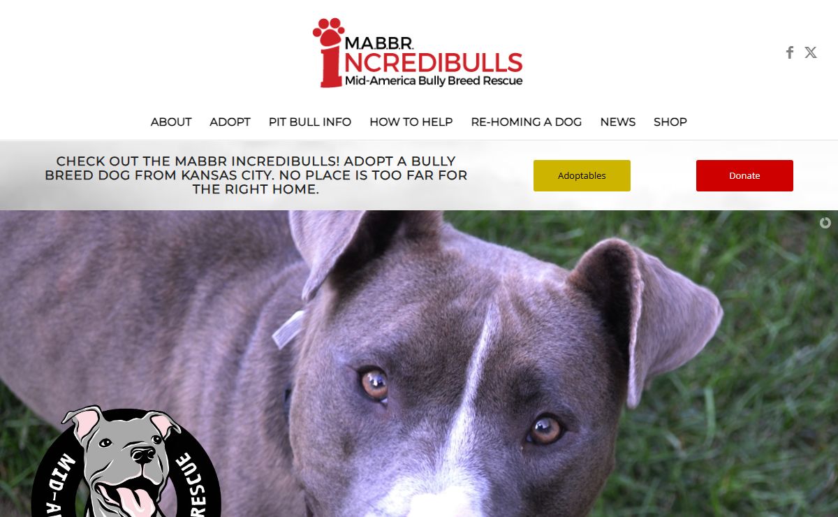 Mid-America Bully Breed Rescue | Pit Bull Rescue | Bulldog Rescue