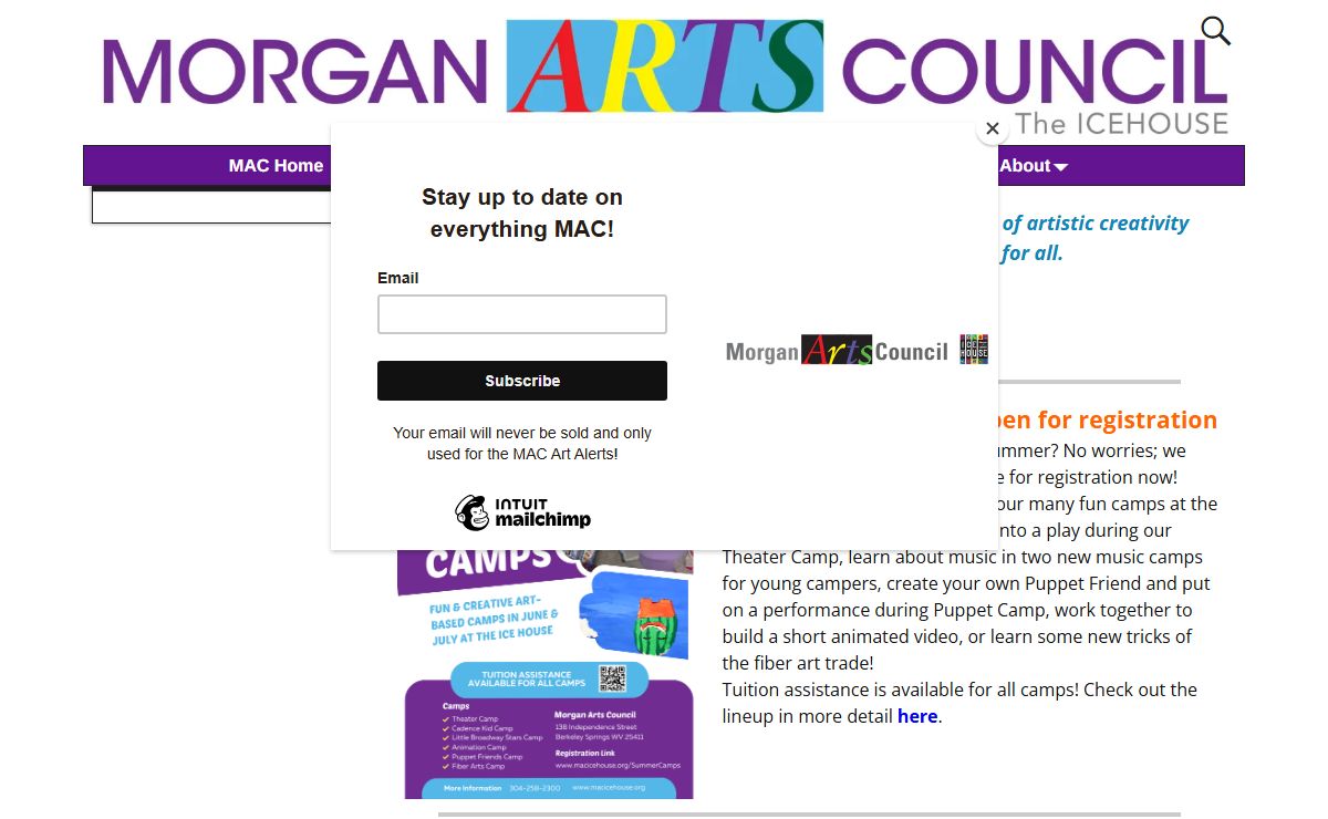 Morgan Arts Council – Getting Art Out There