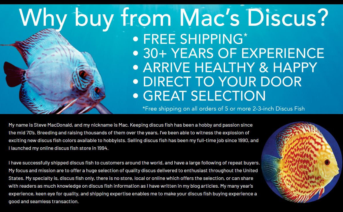 Discus Fish for Sale: Free Shipping & Live Arrival | Macs Discus