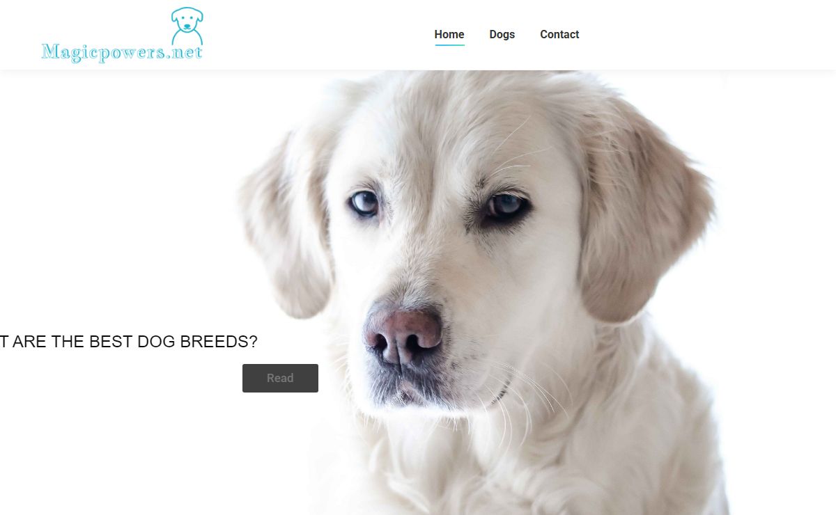 Magicpowers.net – Everything you want and need to know about dogs