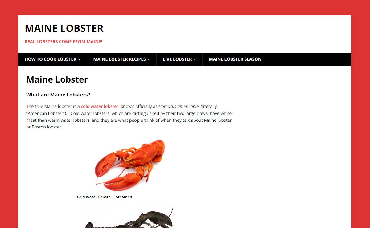 Maine Lobster – Real lobsters come from Maine!