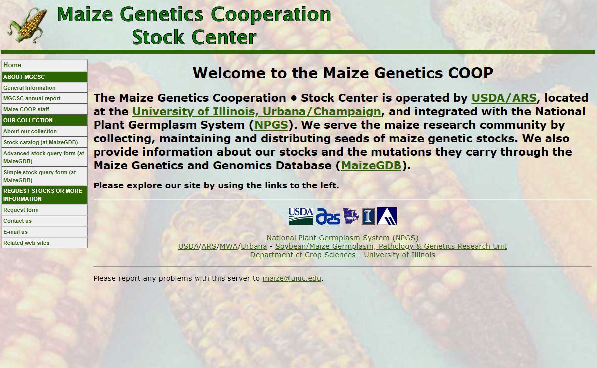 Maize Genetics COOP Stock Center's Home Page