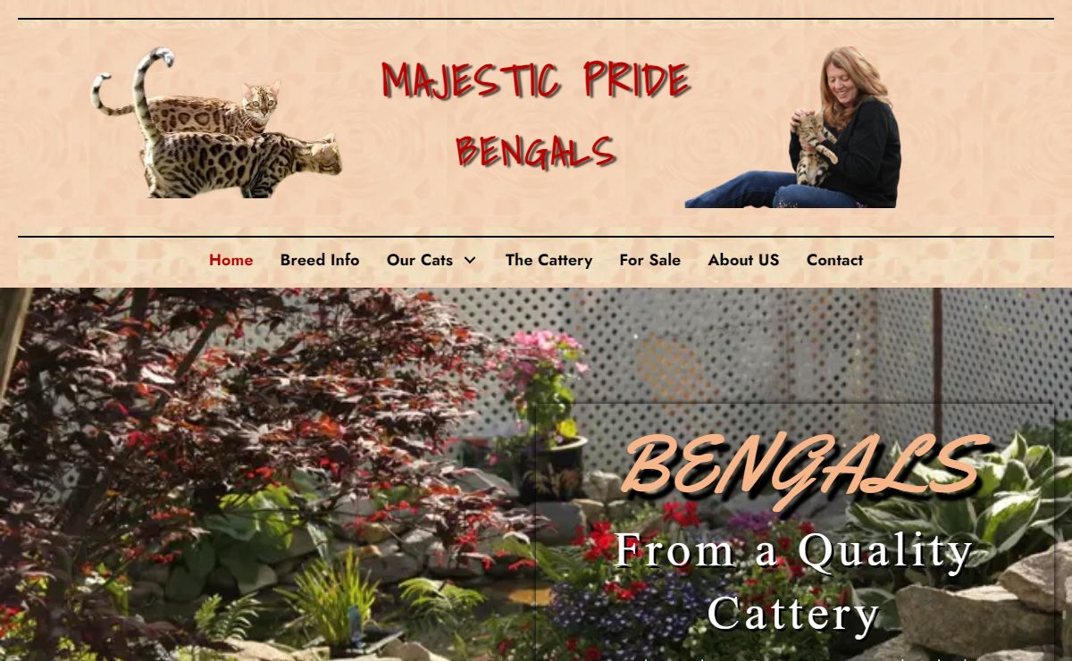 Cats for Sale in Vernon, British Columbia