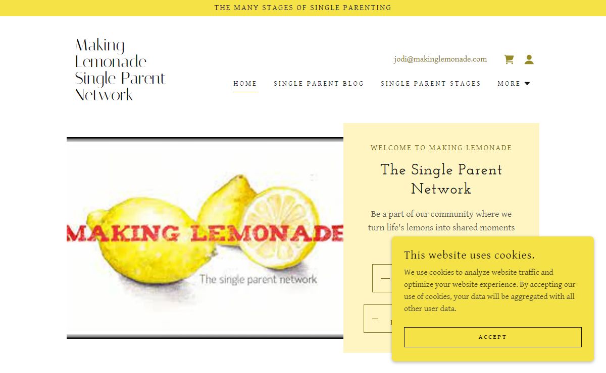 Making Lemonade The Single Parent Network. Education on all the many stages of single parenting