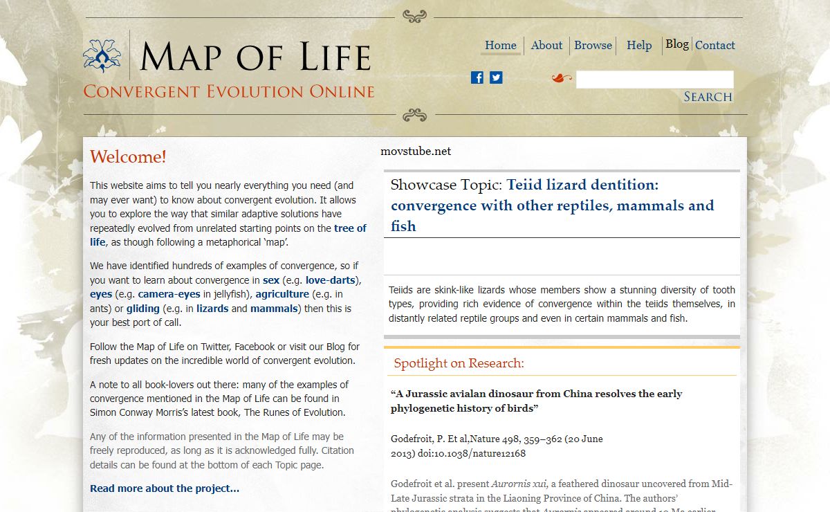Map of Life | Convergent evolution online