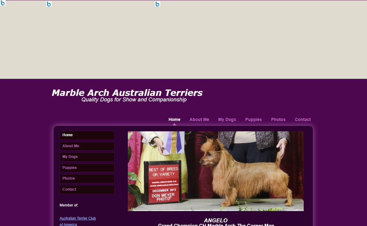 Marble Arch Australian Terriers