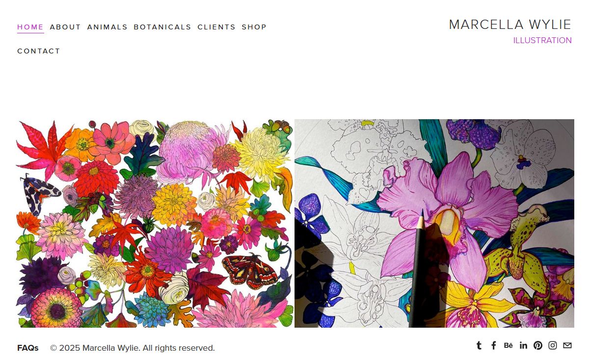 Marcella Wylie - professional illustrator specialising in colourful, hand-drawn botanical and animal artwork.