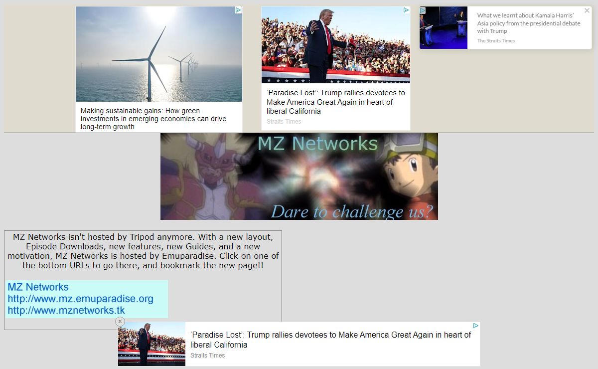 MZ Networks