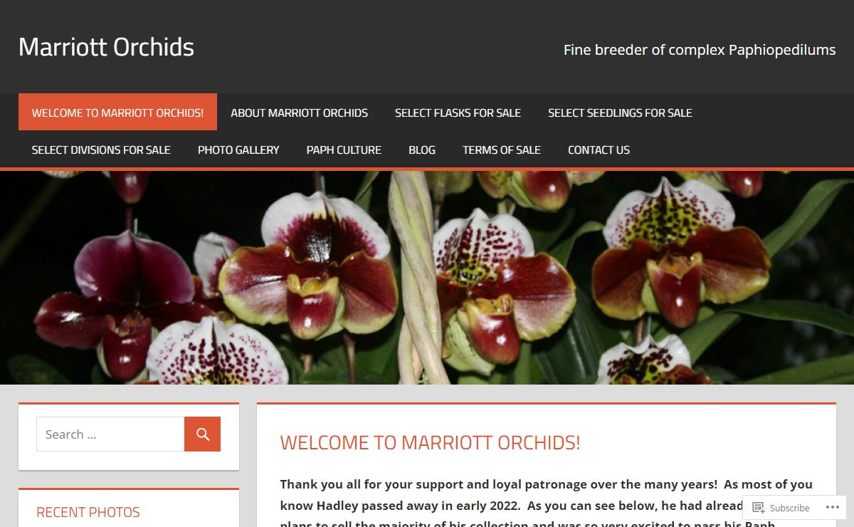 Marriott Orchids – Fine breeder of complex Paphiopedilums