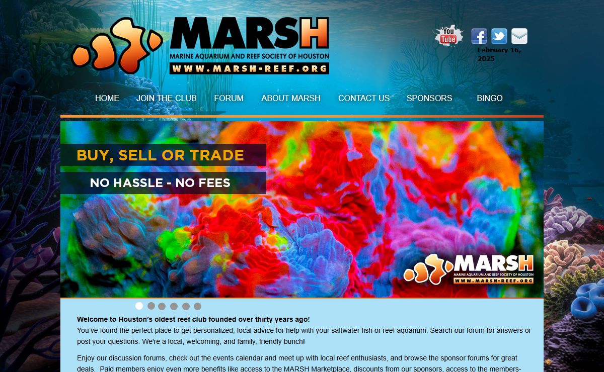 Marsh-Reef