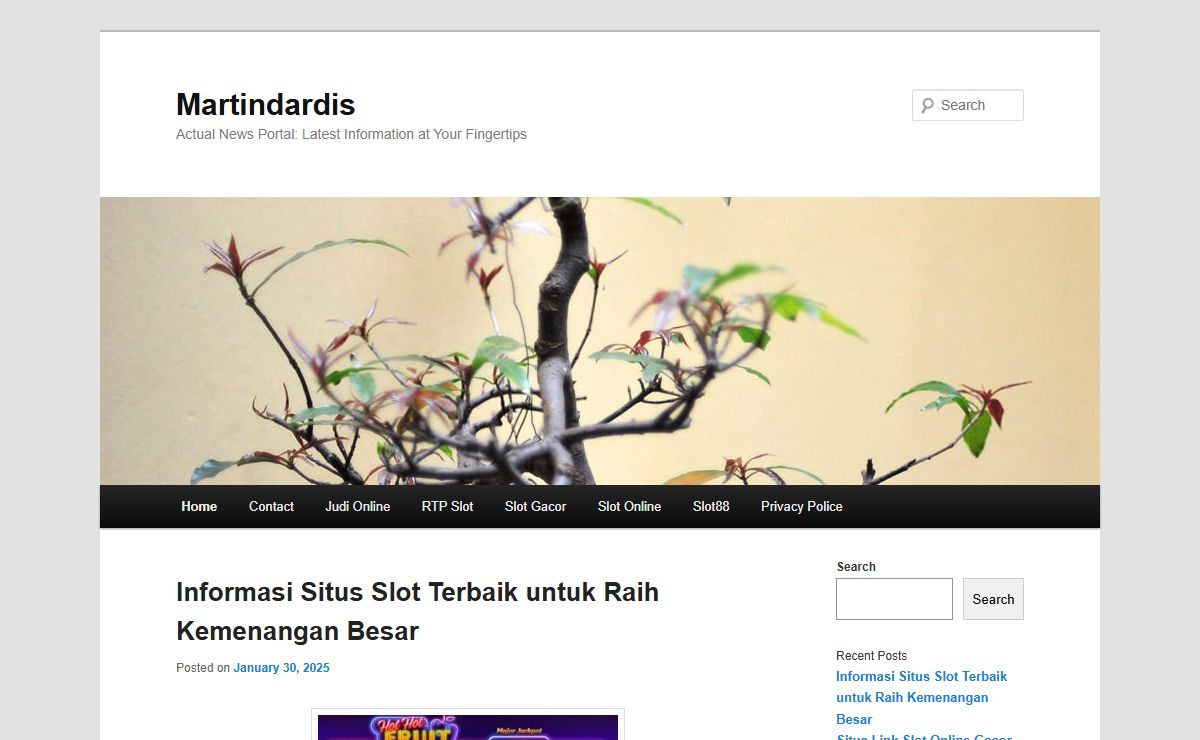 Martindardis - Actual News Portal: Latest Information at Your FingertipsMartindardis | Actual News Portal: Latest Information at Your Fingertips