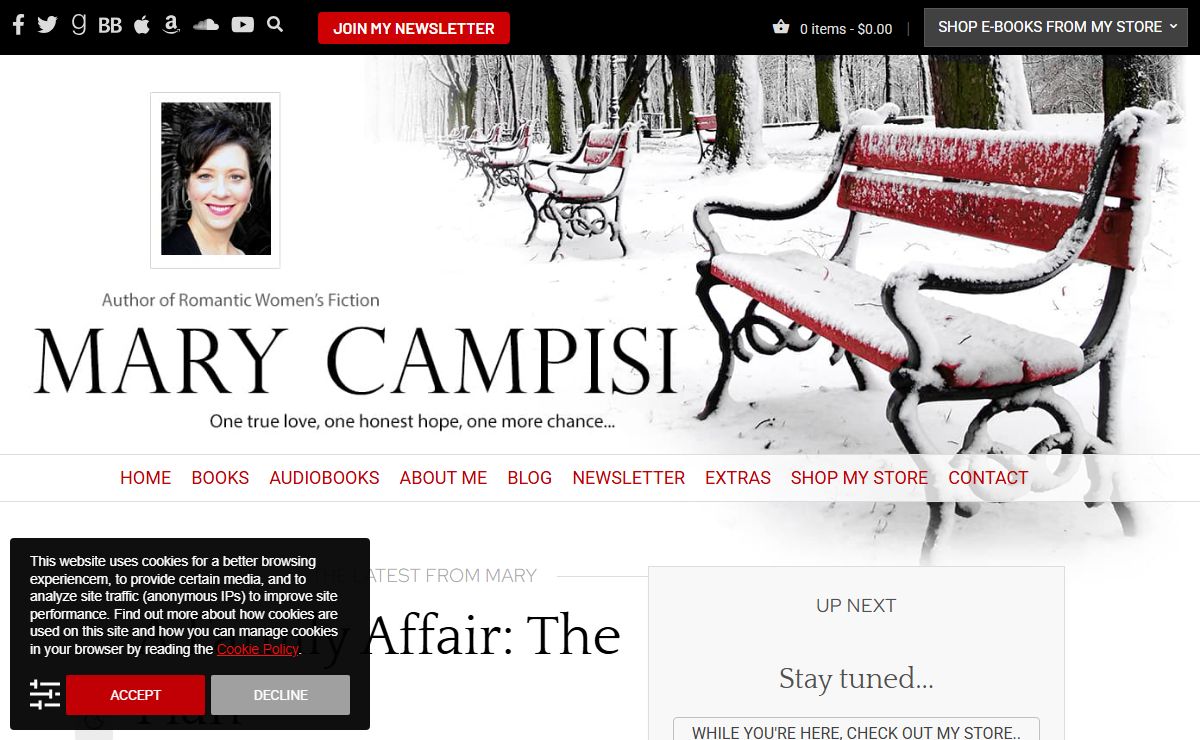 Mary Campisi | Author Of Romantic Women's Fiction