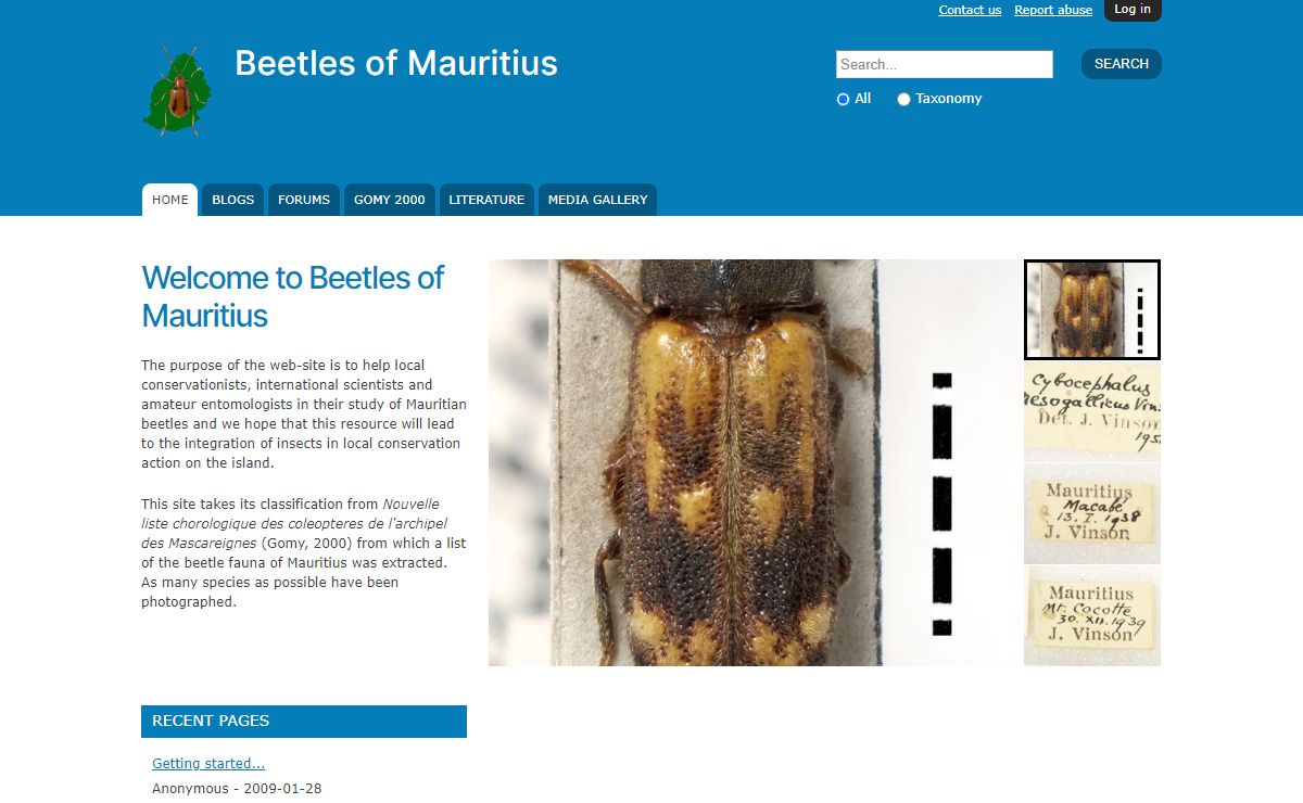 Beetles of Mauritius