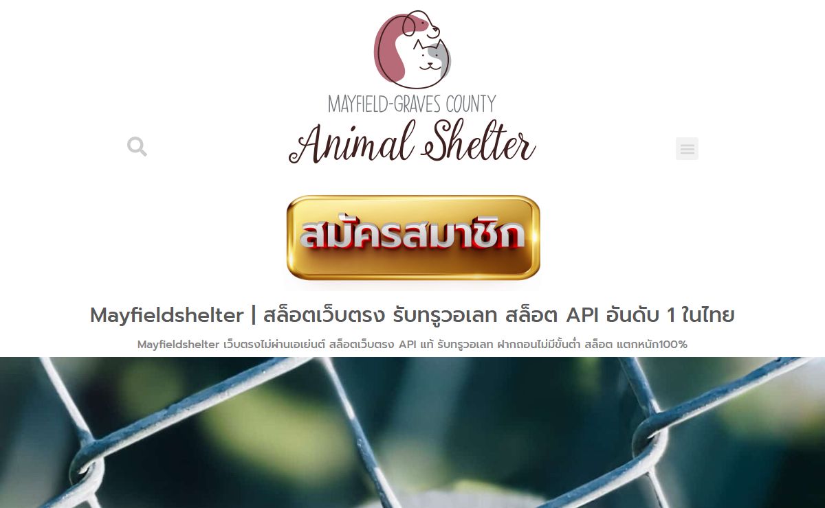 Mayfieldshelter | สล็อตเว็บตรง รับทรูวอเลท สล็อต API อันดับ 1 ในไทย