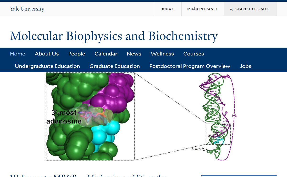 Welcome | Molecular Biophysics and Biochemistry