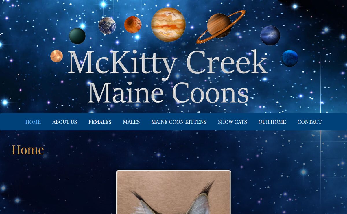 Maine Coon Cattery in PA - McKitty Creek Maine Coons