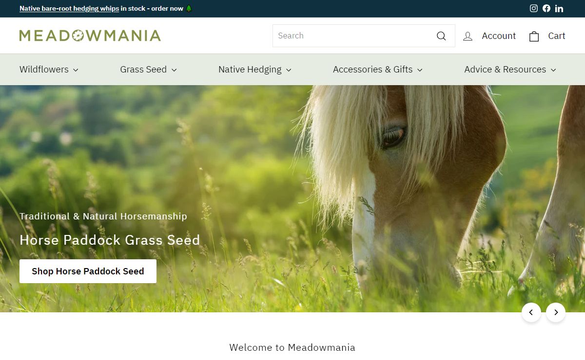 British Native Wildflower Seed, Plugs & Bulbs – Meadowmania UK