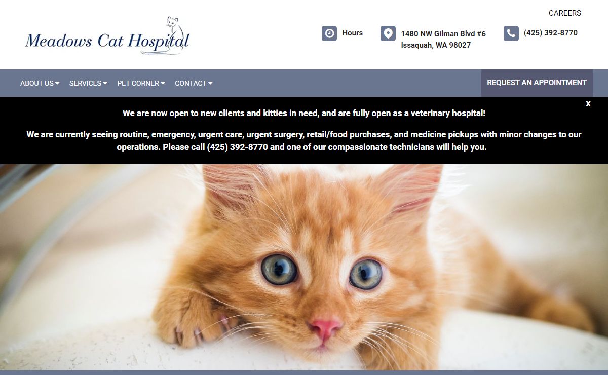 Meadows Cat Hospital | Issaquah Cat Veterinarians