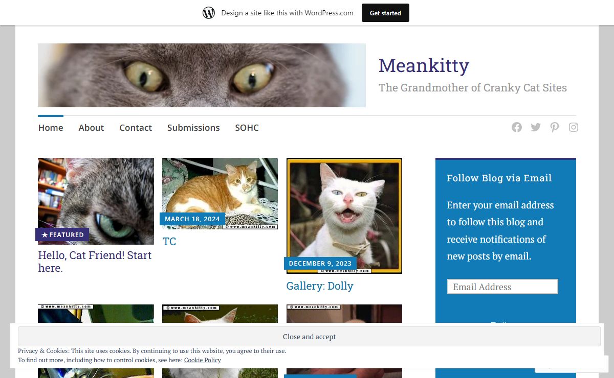 Meankitty – The Grandmother of Cranky Cat Sites
