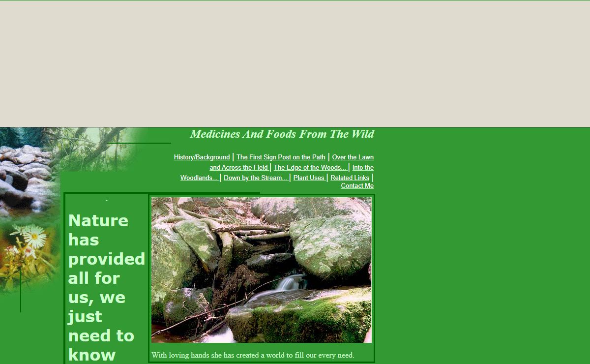 Medicines And Foods From The Wild