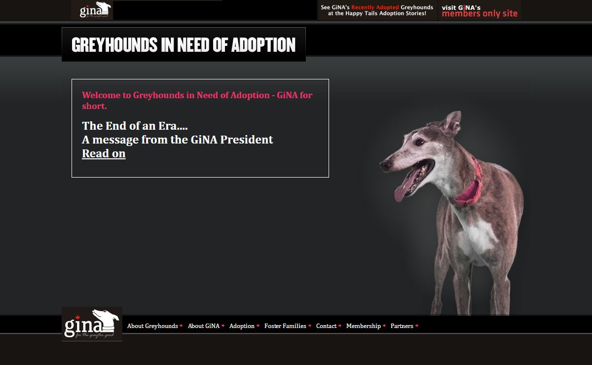 GiNA - Greyhounds in Need of Adoption