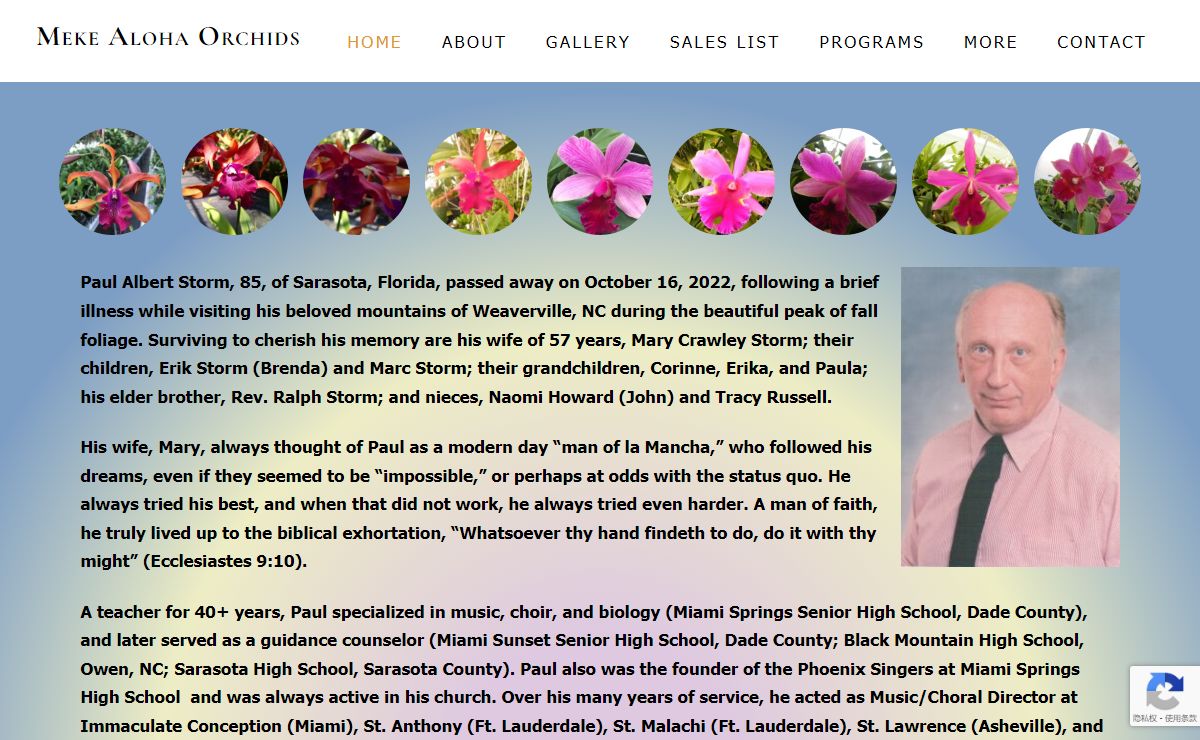 Home » Meke Aloha Orchids