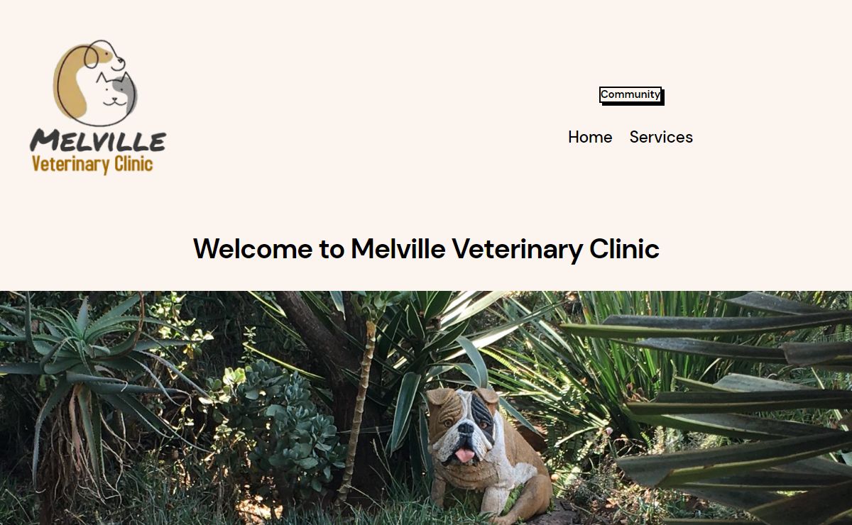 Melville Veterinary Clinic – Melville Veterinary Clinic offers veterinary services for cats and dogs in Melville Johannesburg