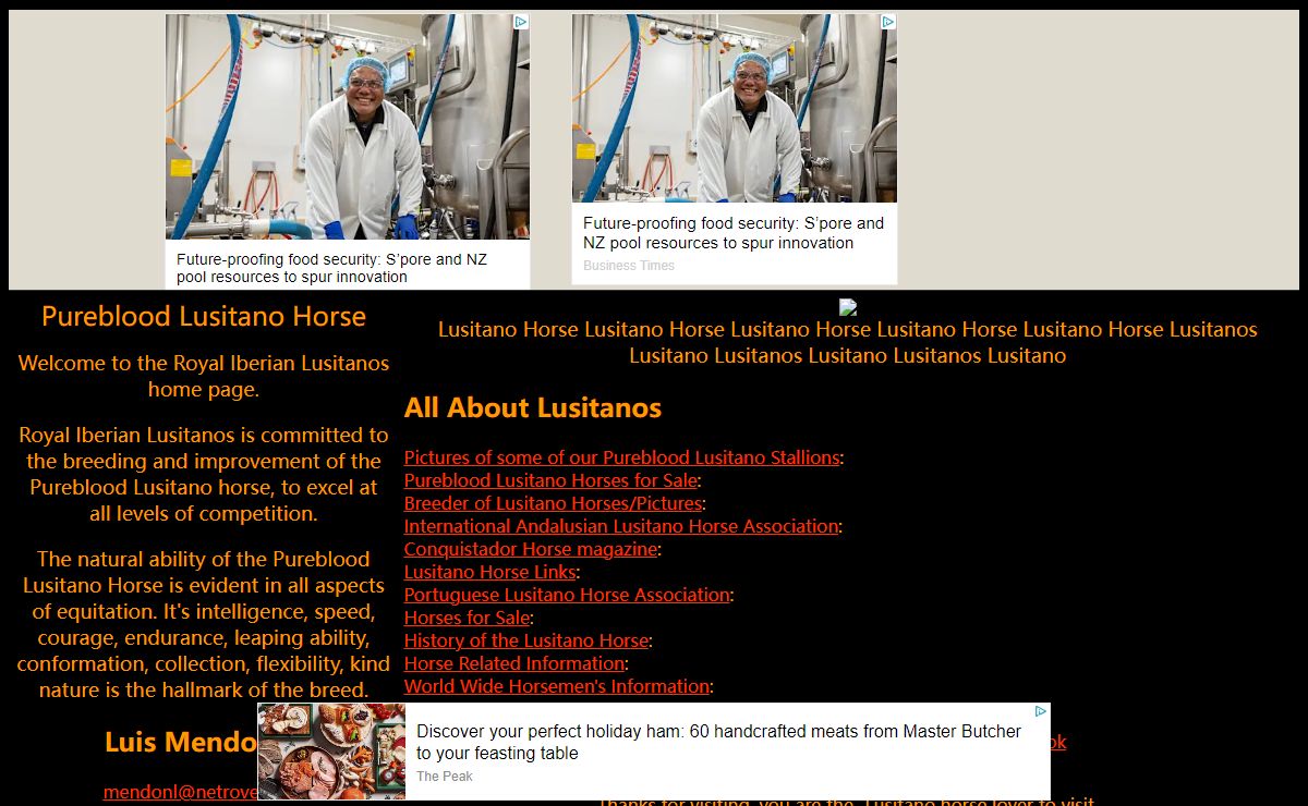 Lusitano Horses