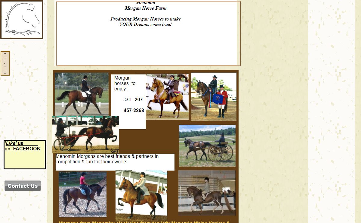 Menomin Morgan Horse Farm  - Morgan horses for sale