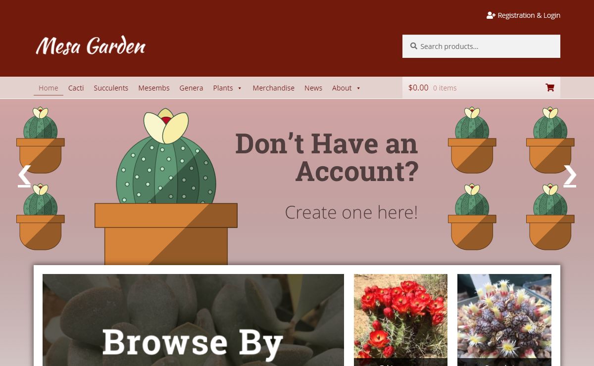 Mesa Garden - Cactus and Succulent Seeds