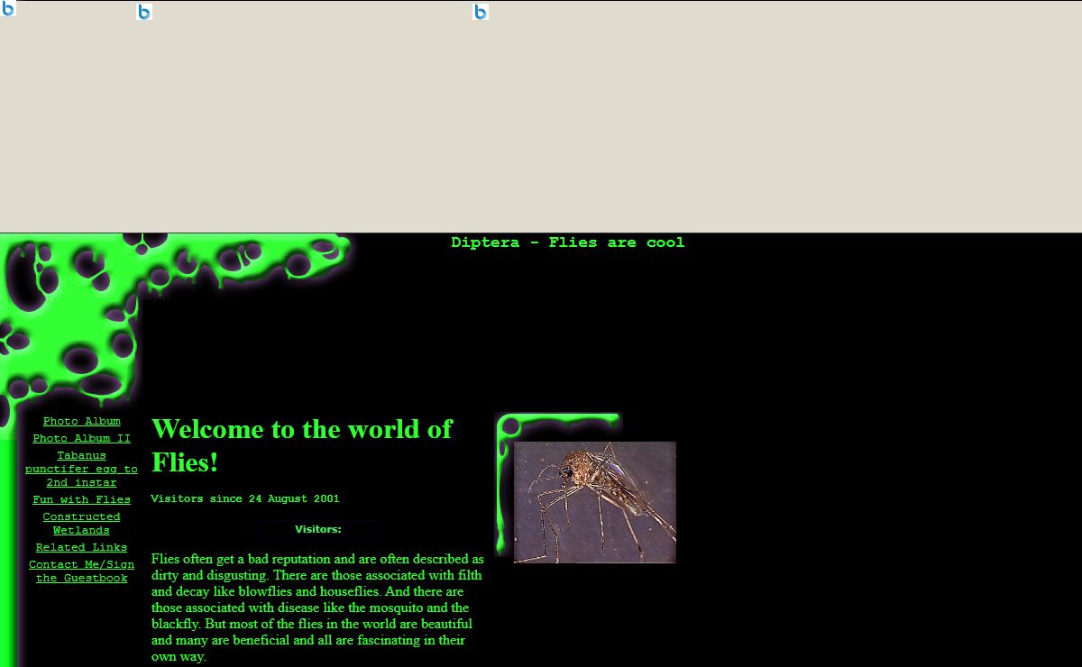 Diptera - Flies are cool