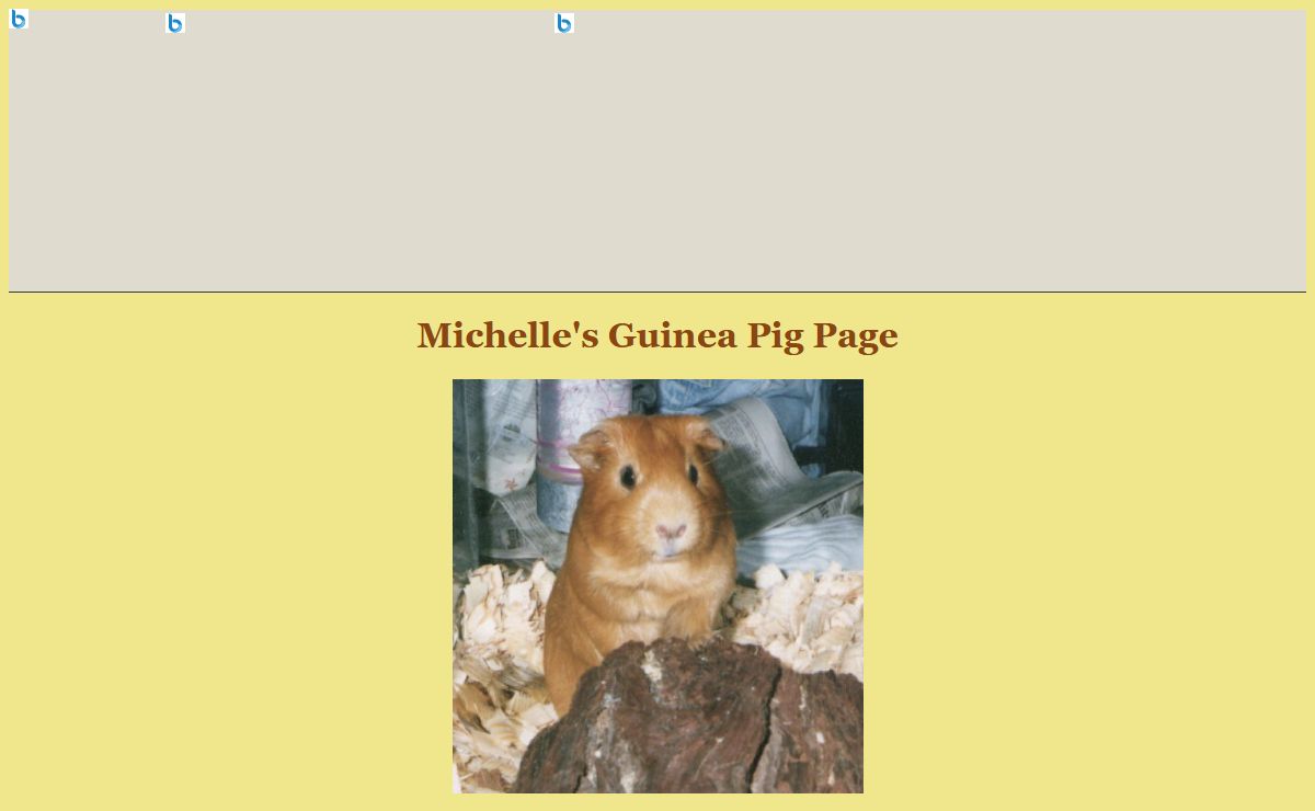Michelle's Guinea Pig Page: Visit My Sweet Little Guinea Pigs!