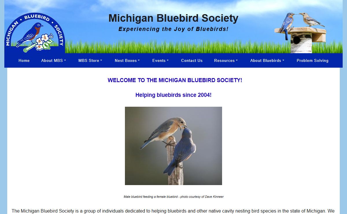 Michigan Bluebird Society - Experiencing The Joy Of Bluebirds!