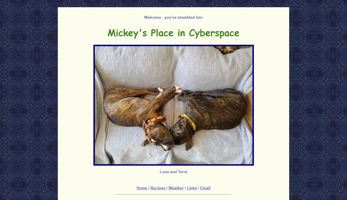 Mickey's Place in Cyberspace