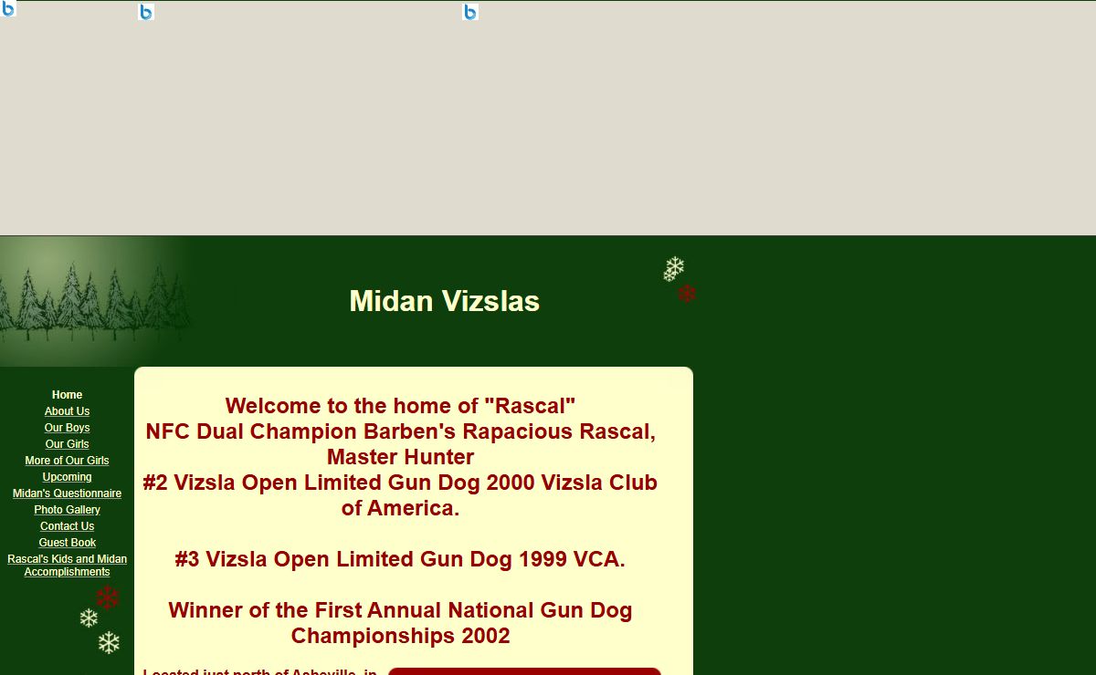 Midan Vizslas