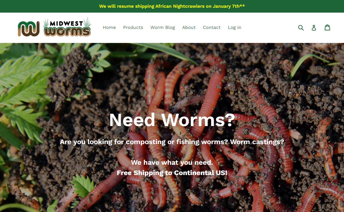 Composting Worms, Red Wigglers, European Nightcrawlers - Midwest Worms