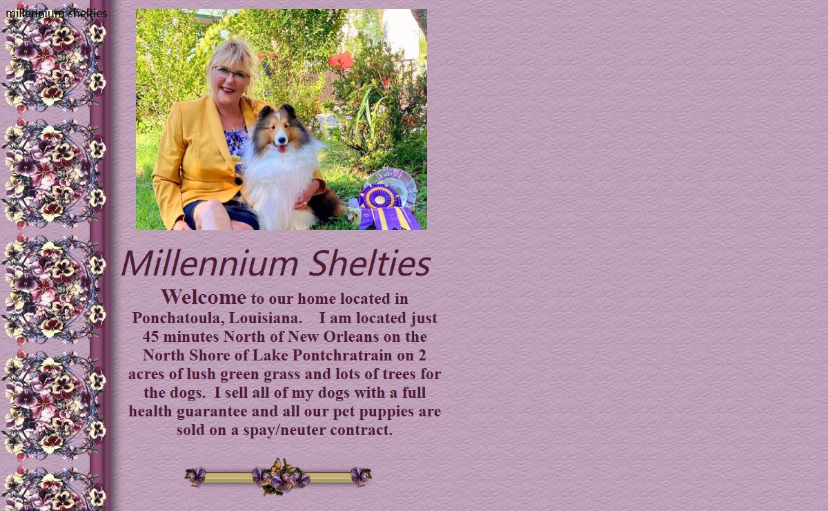 Millennium Shelties