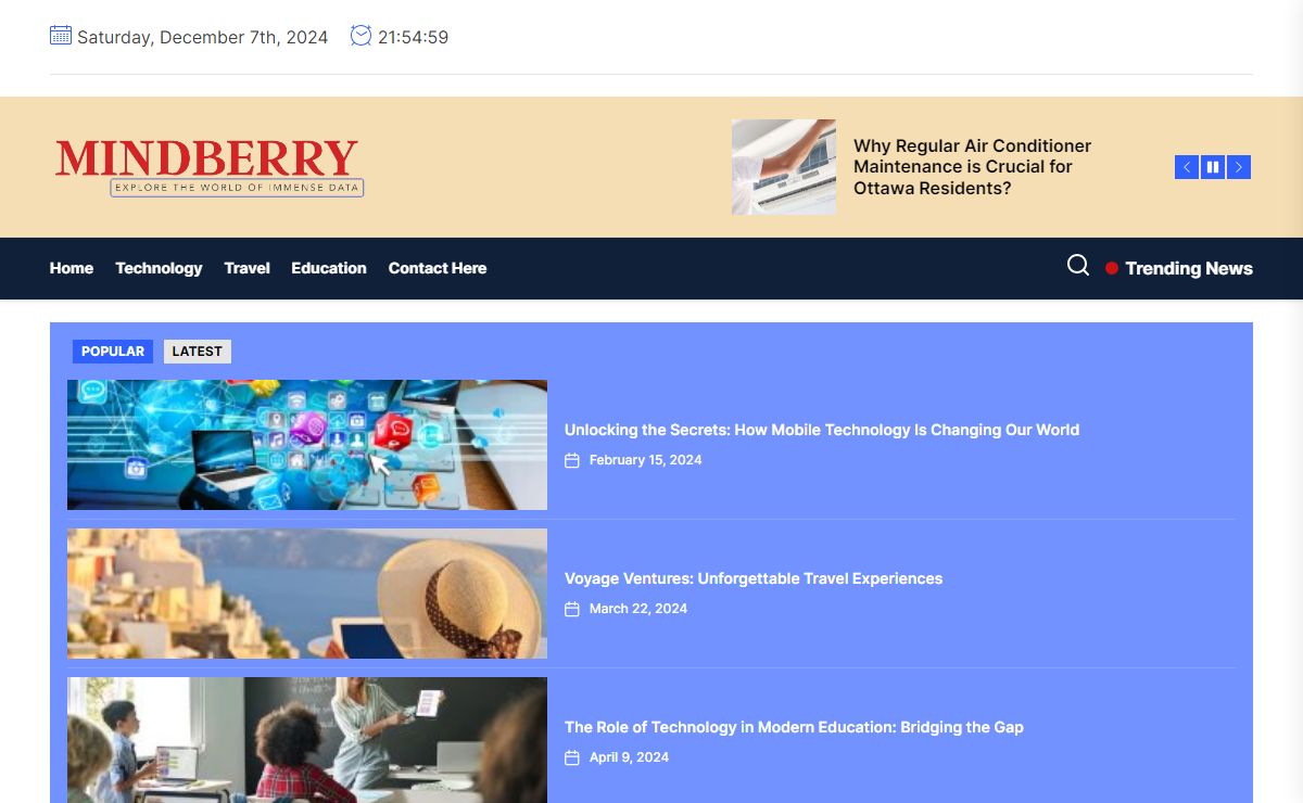 Mind Berry – Explore the world of immense data