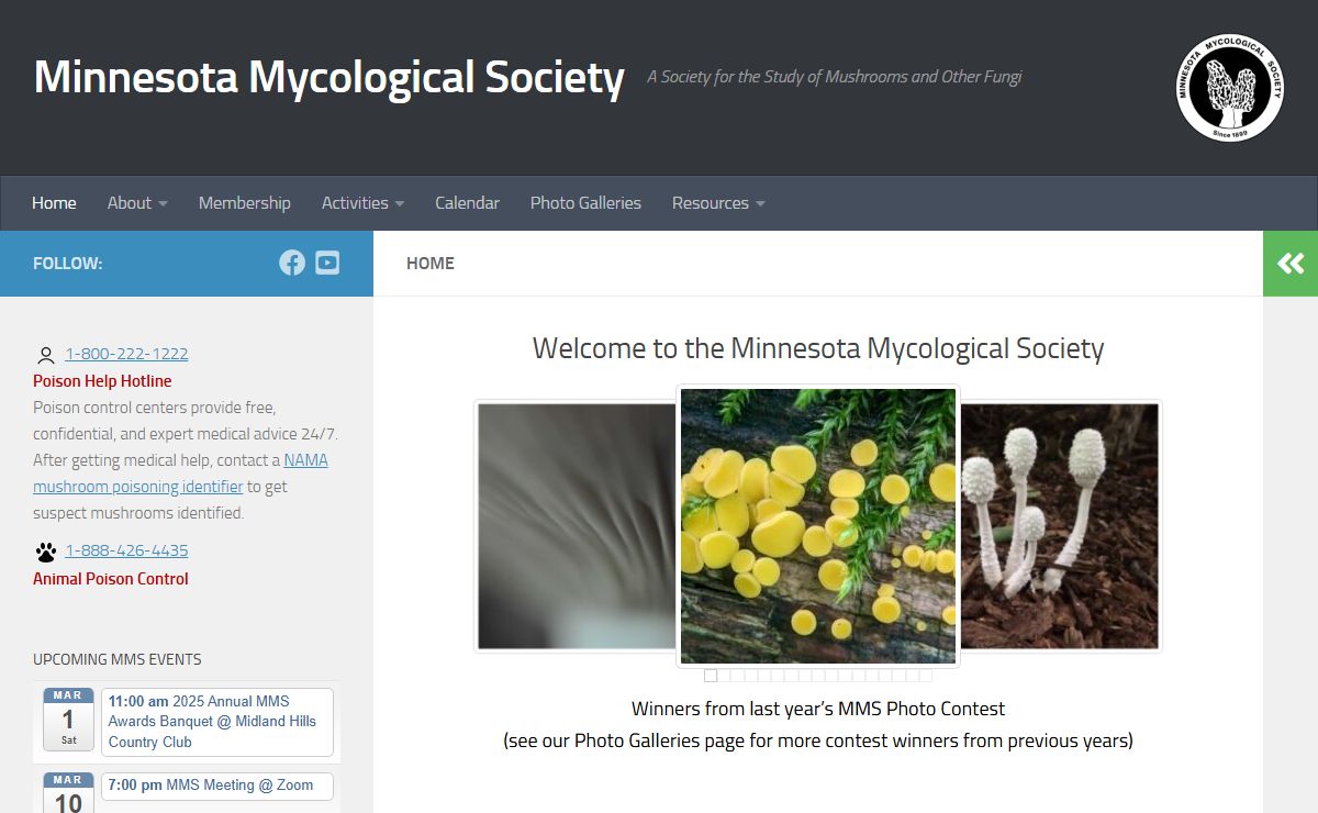Minnesota Mycological Society – A Society for the Study of Mushrooms and Other Fungi