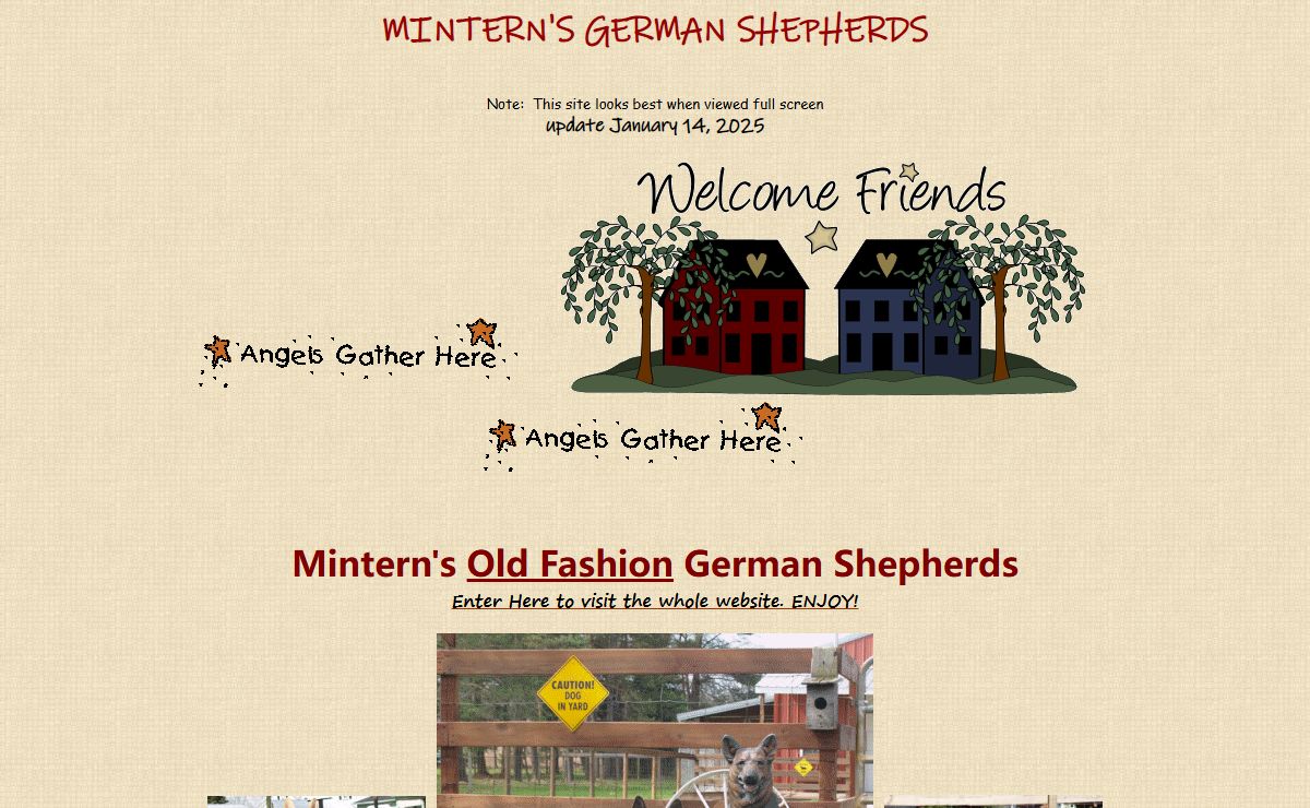 Mintern's German Shepherds