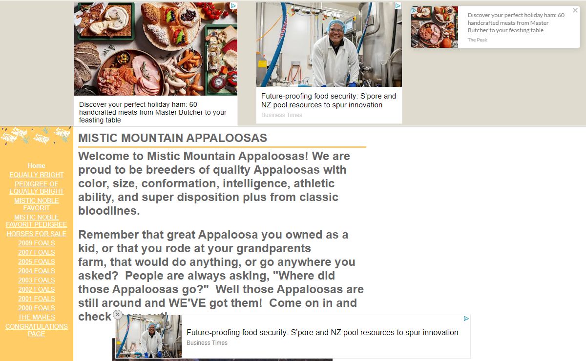 MISTIC MOUNTAIN APPALOOSAS