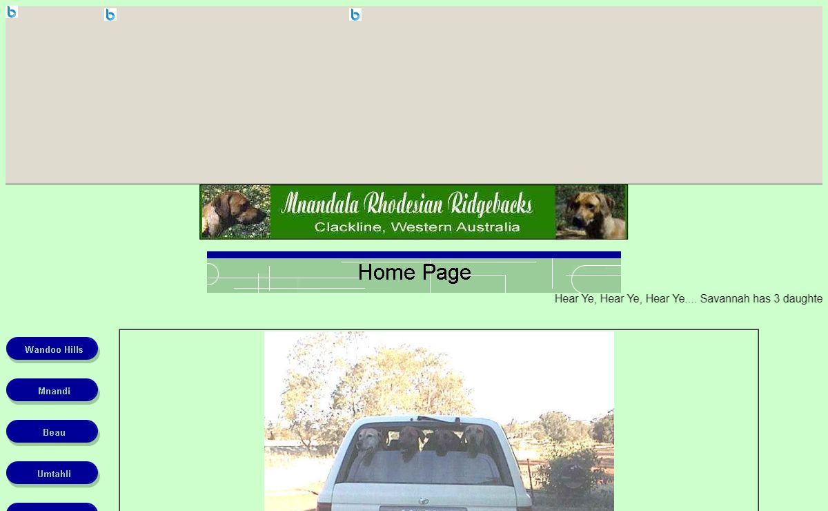 Home Page