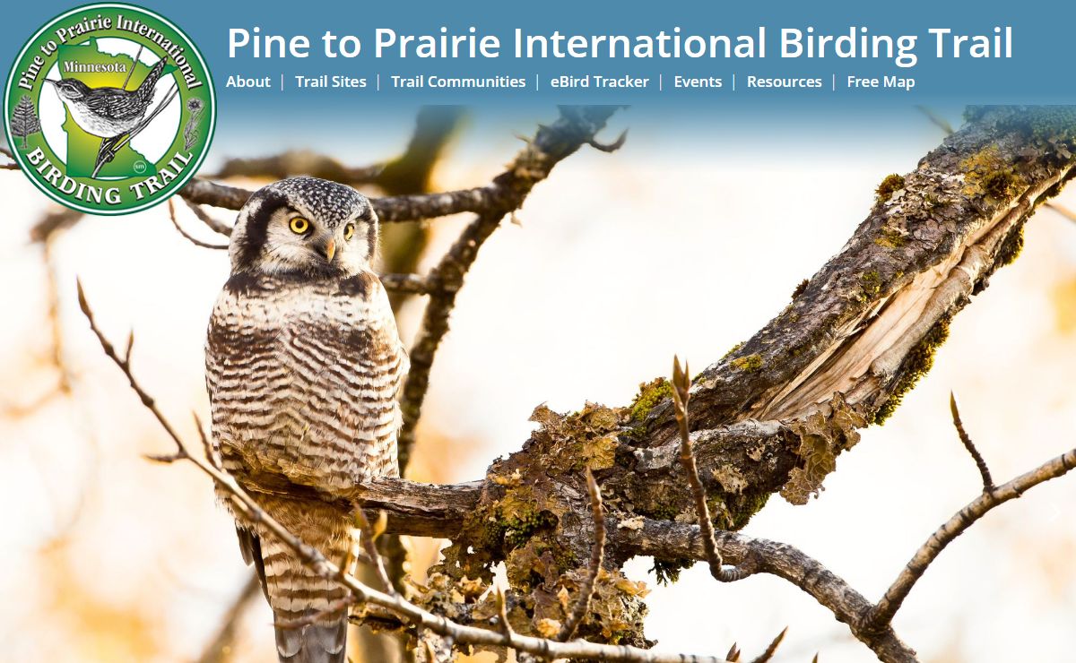 Bird Watching & Birdguides in Minnesota: Pine to Prairie