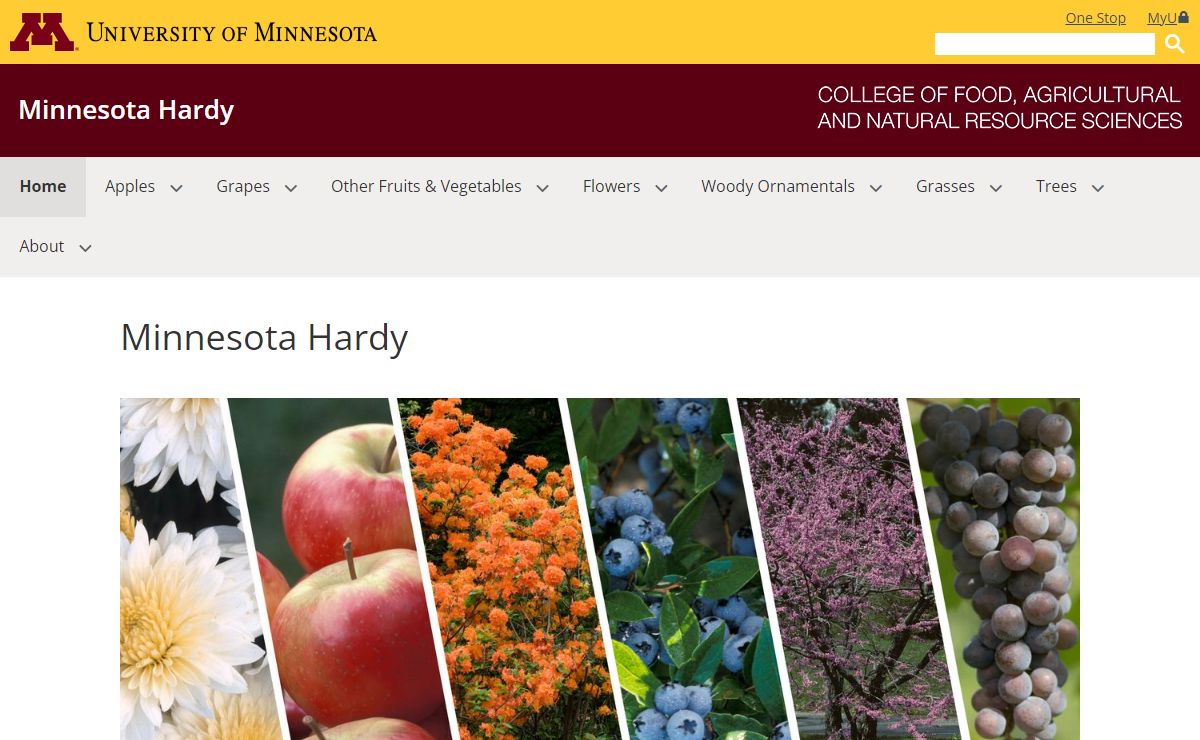 Minnesota Hardy | Minnesota Hardy
