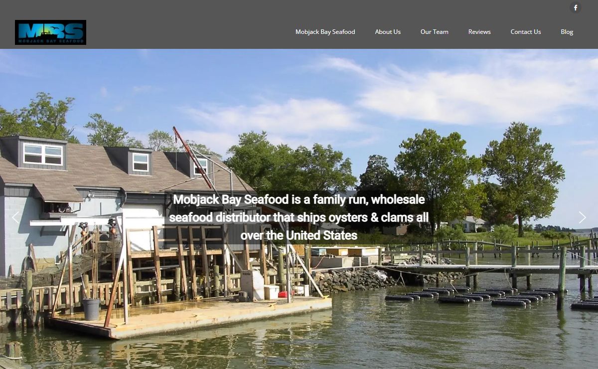 Quality Clams & Oysters For Sale - Mobjack Bay Seafood