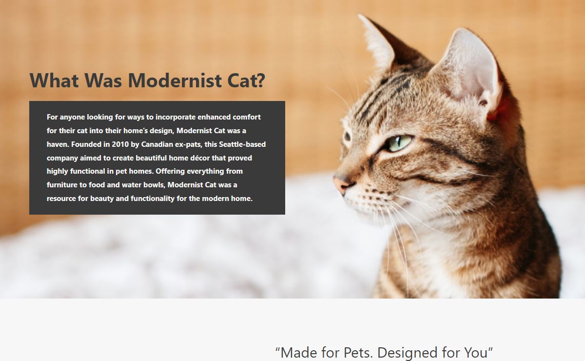 What Was Modernist Cat? - Modernist Cat