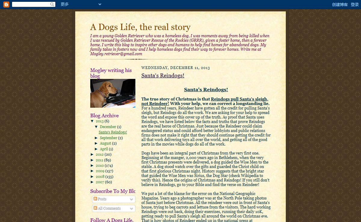 A Dogs Life, the real story