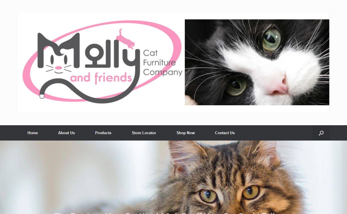 Quality cat furniture, cat condos & cat trees made in the USA