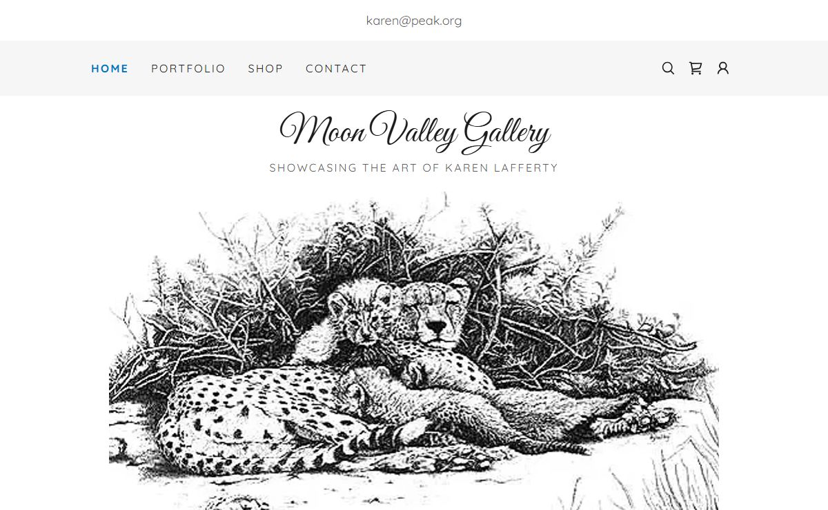Moon Valley Press & Gallery - Fine Art, Art Gallery, Artist